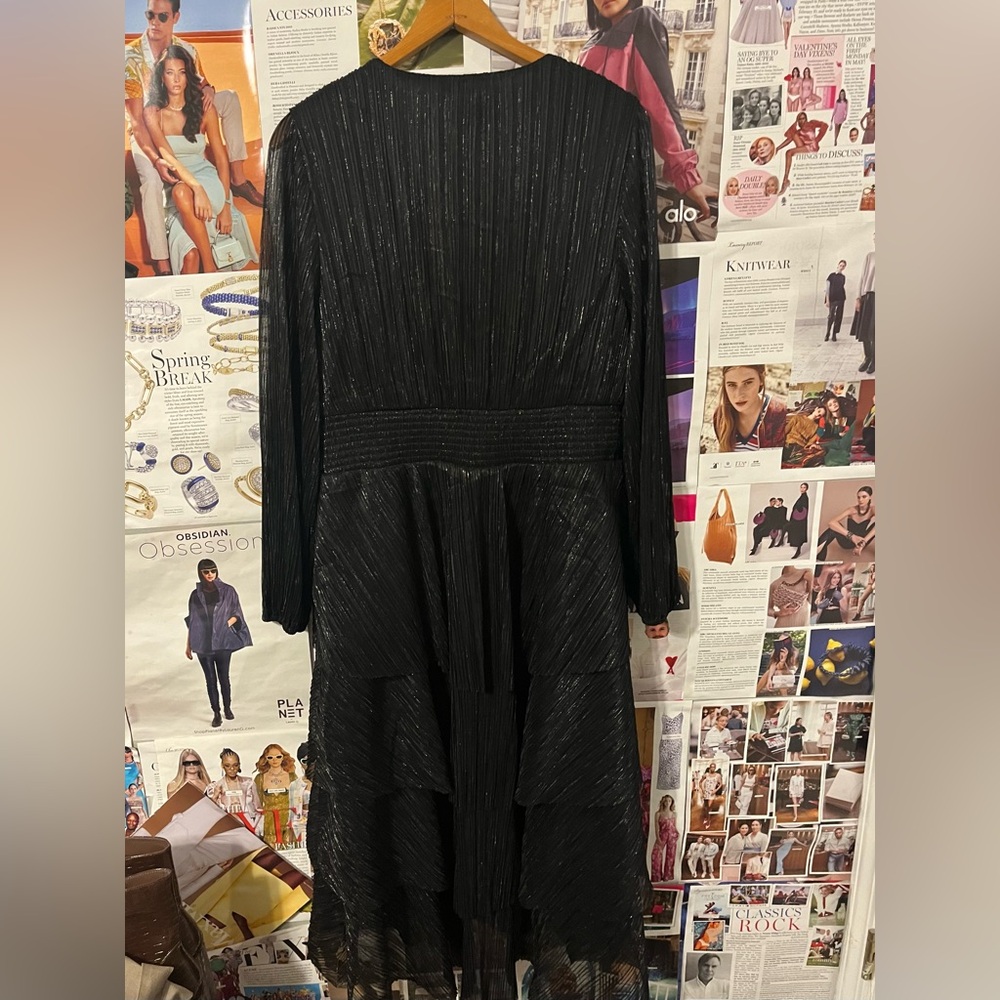 Elegant Black Metallic Sheer Dress - Picture 2 of 8